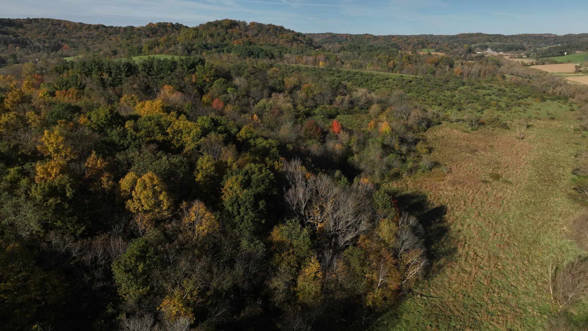 28+/- Acres of Wisconsin Countryside | Fenced Cattle Pasture, Hardwood Ridges, Stream & Dream Homesite