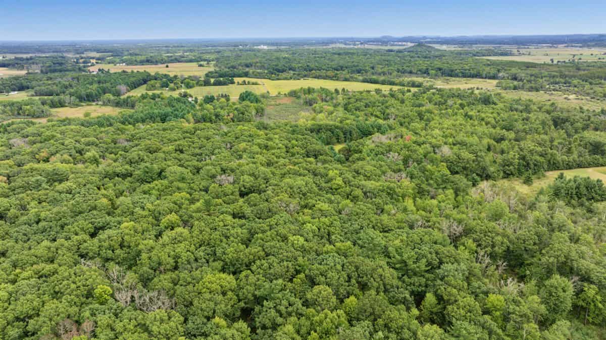 Proven big buck producer 121 Acres in Monroe County