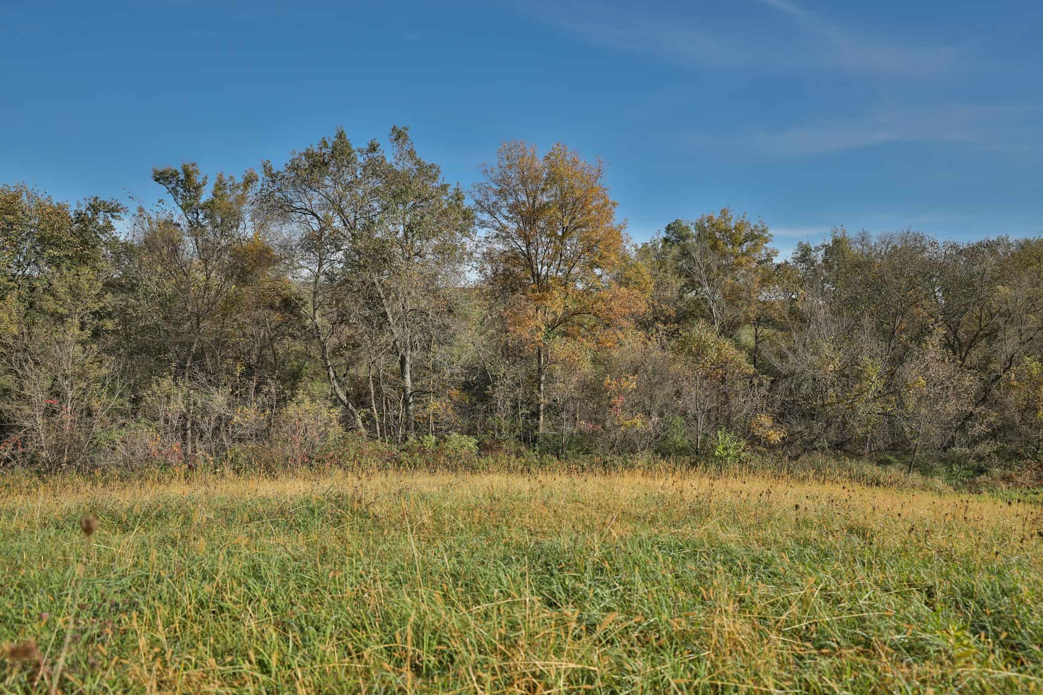 248+/- Acre Income-Producing Farm, Cattle Ranch & Hunting Estate in Richland County, Wisconsin