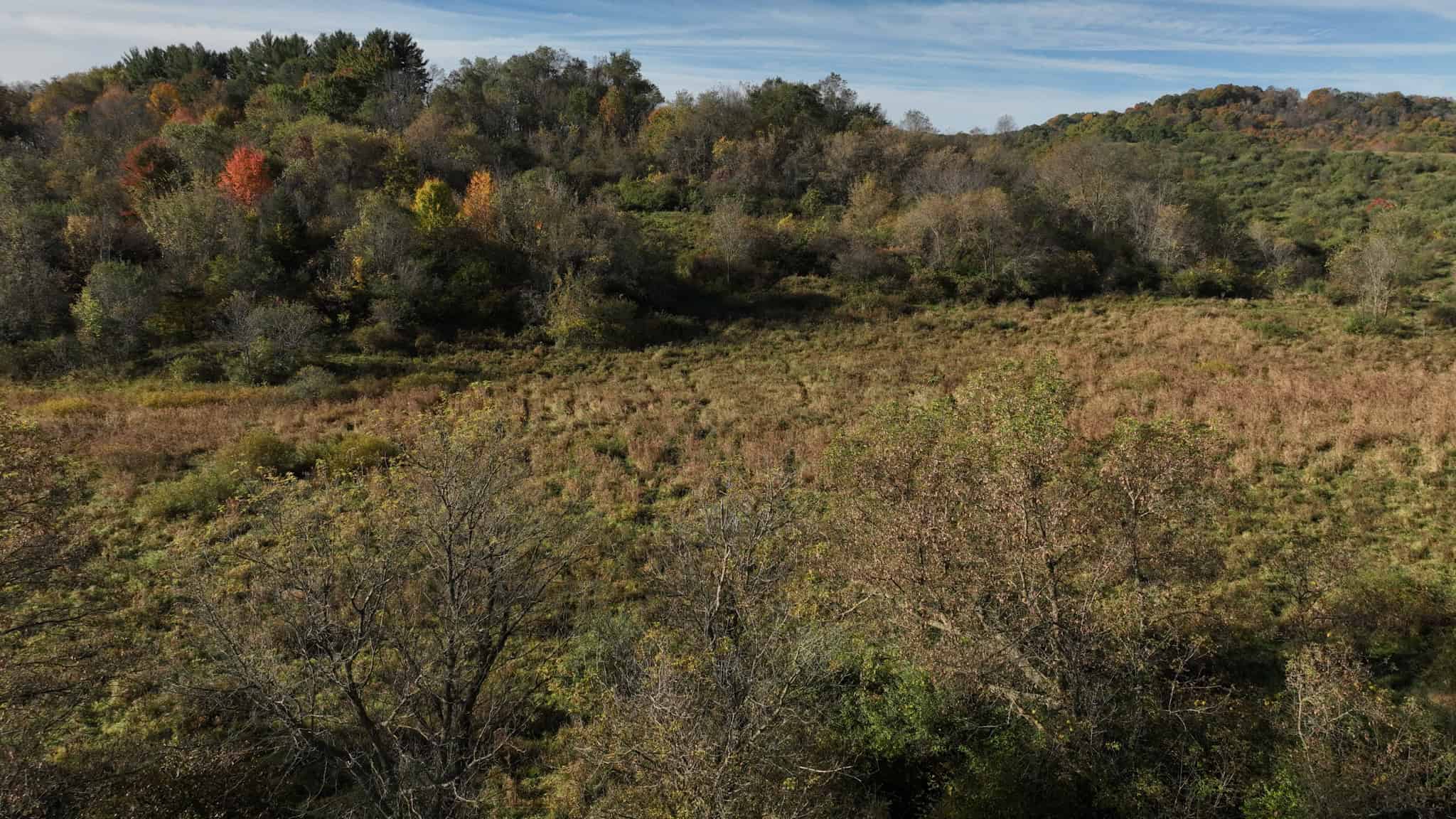 28+/- Acres of Wisconsin Countryside | Fenced Cattle Pasture, Hardwood Ridges, Stream & Dream Homesite