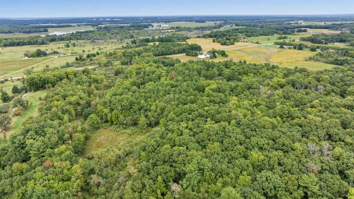 Proven big buck producer 121 Acres in Monroe County