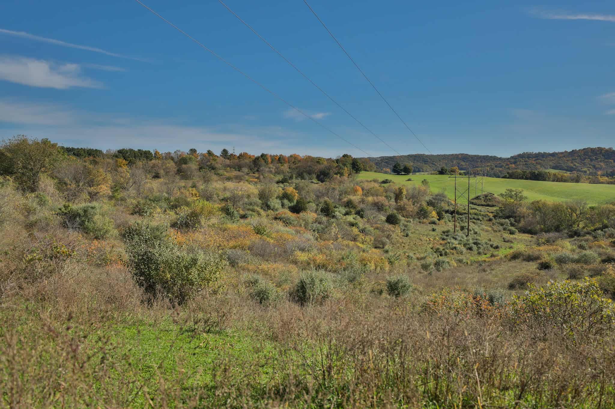 248+/- Acre Income-Producing Farm, Cattle Ranch & Hunting Estate in Richland County, Wisconsin