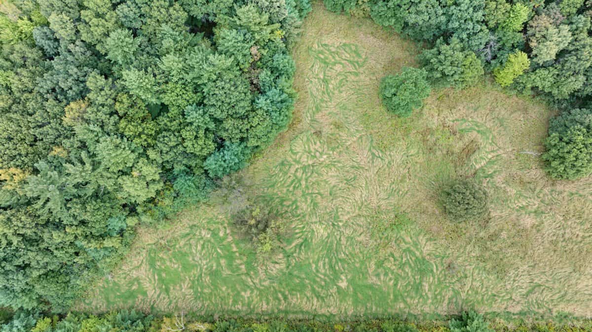 Proven big buck producer 121 Acres in Monroe County