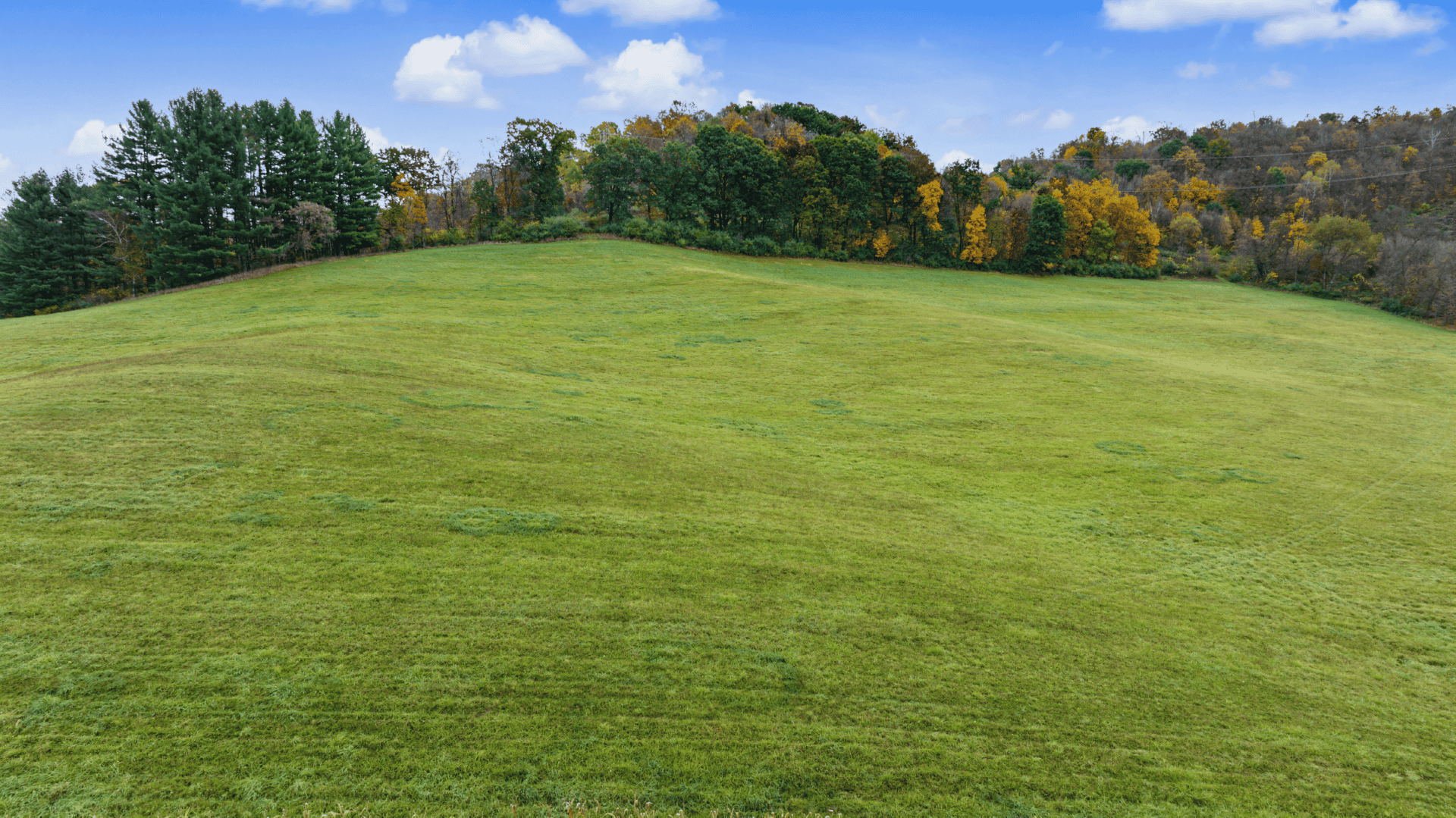 95.02-Acre Premier Whitetail Hunting Estate with Log Cabin, Pond & Spring-Fed Stream in Richland County, Wisconsin