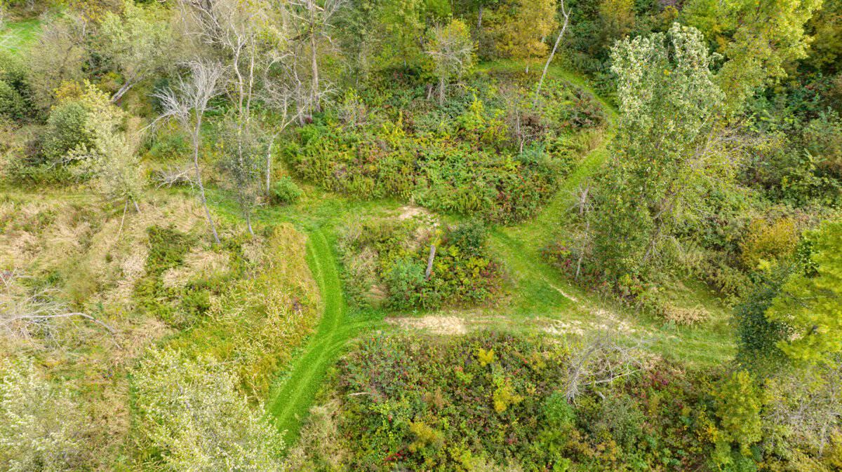 Turnkey 28± Acre Hunting Property Near Melrose, Wisconsin