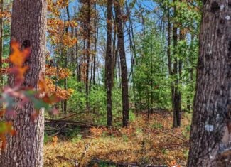 28± Acre Hunting Property with Cabin | Monroe County, Wisconsin