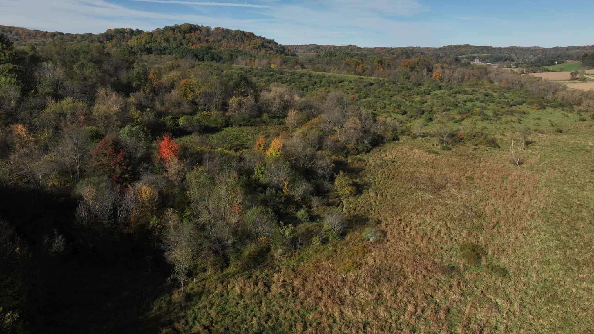 28+/- Acres of Wisconsin Countryside | Fenced Cattle Pasture, Hardwood Ridges, Stream & Dream Homesite