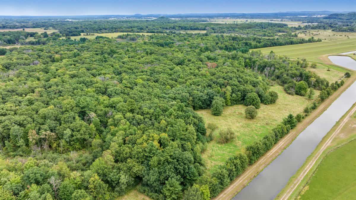 Proven big buck producer 121 Acres in Monroe County