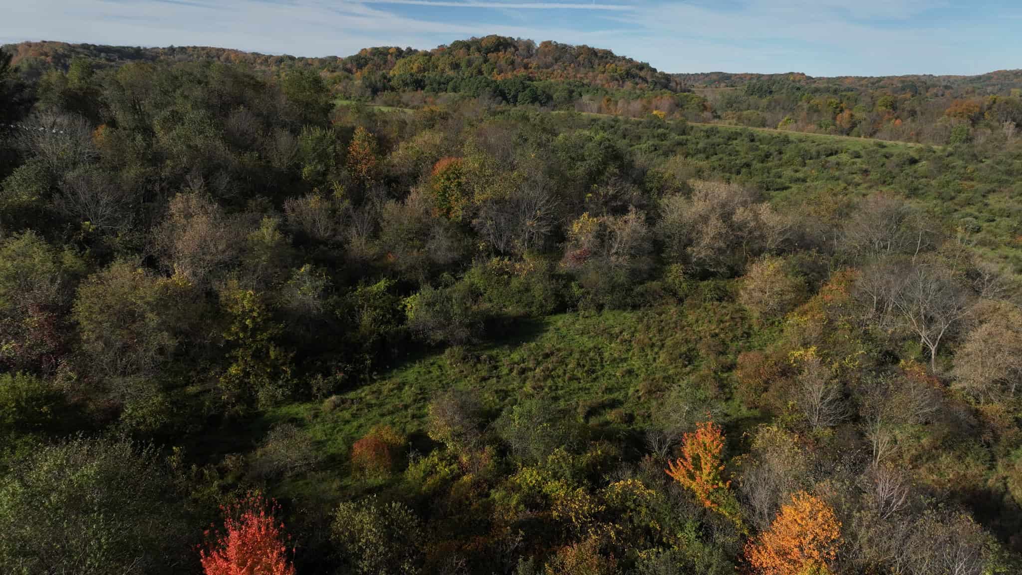 28+/- Acres of Wisconsin Countryside | Fenced Cattle Pasture, Hardwood Ridges, Stream & Dream Homesite