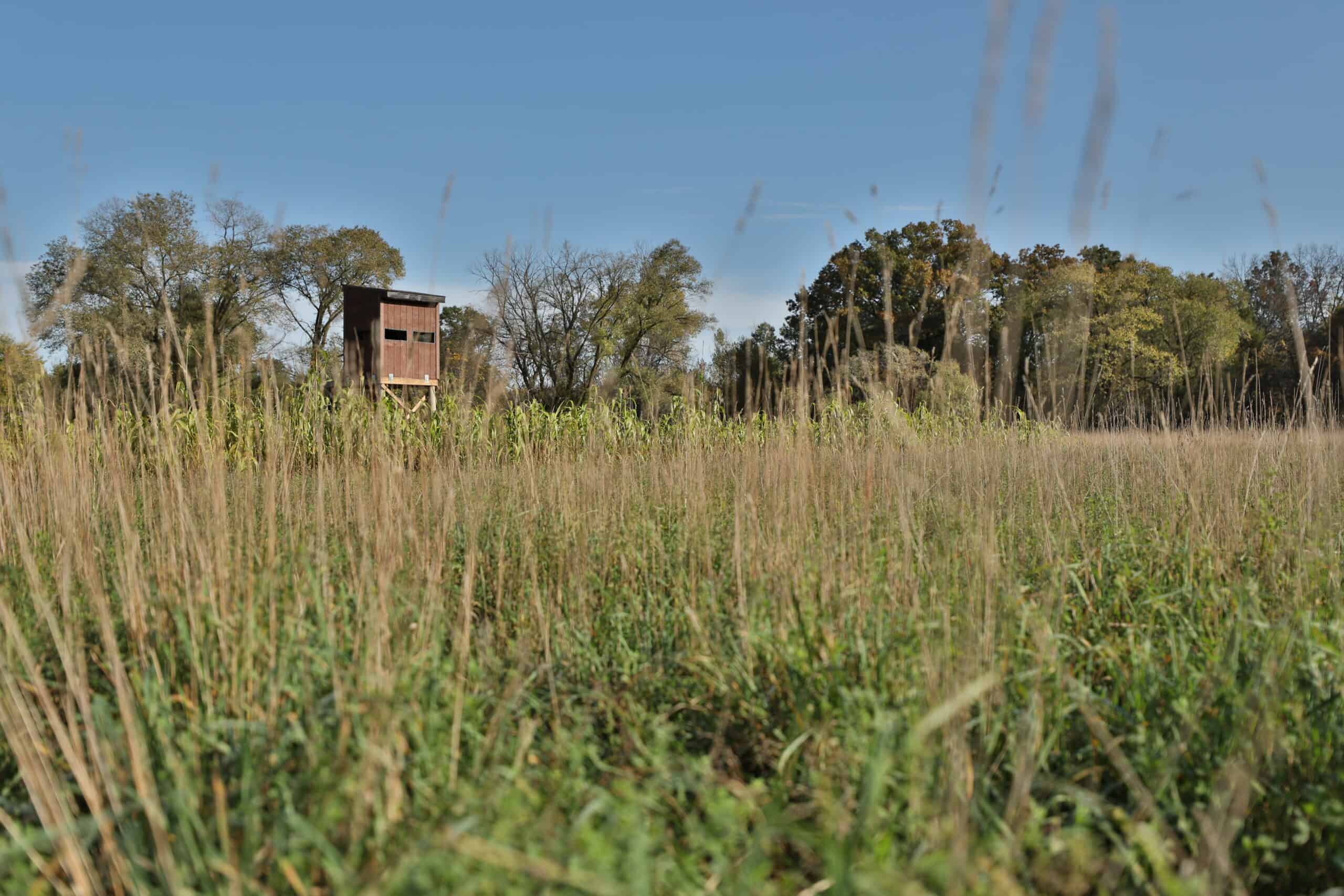 30-Acre Hunting & Camping Retreat with Food Plots, Well & RV Hookups | Adams County, Wisconsin