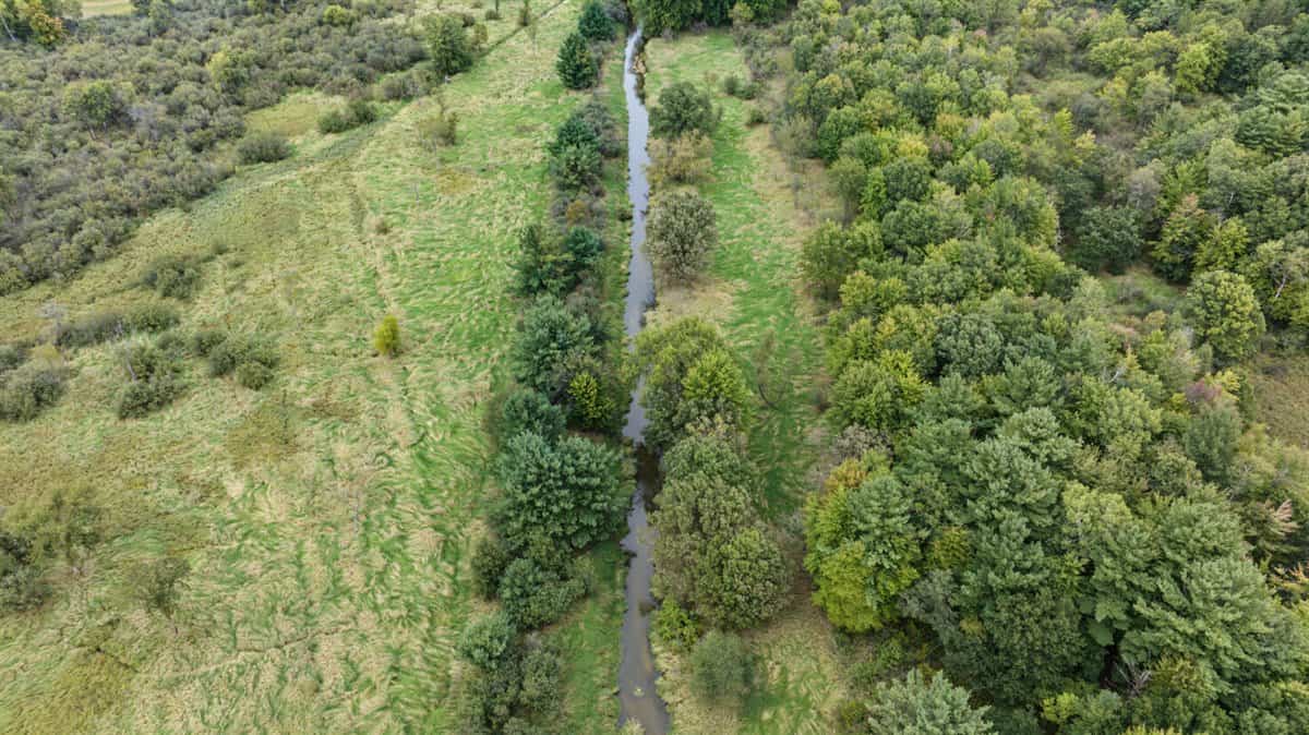 Proven big buck producer 121 Acres in Monroe County