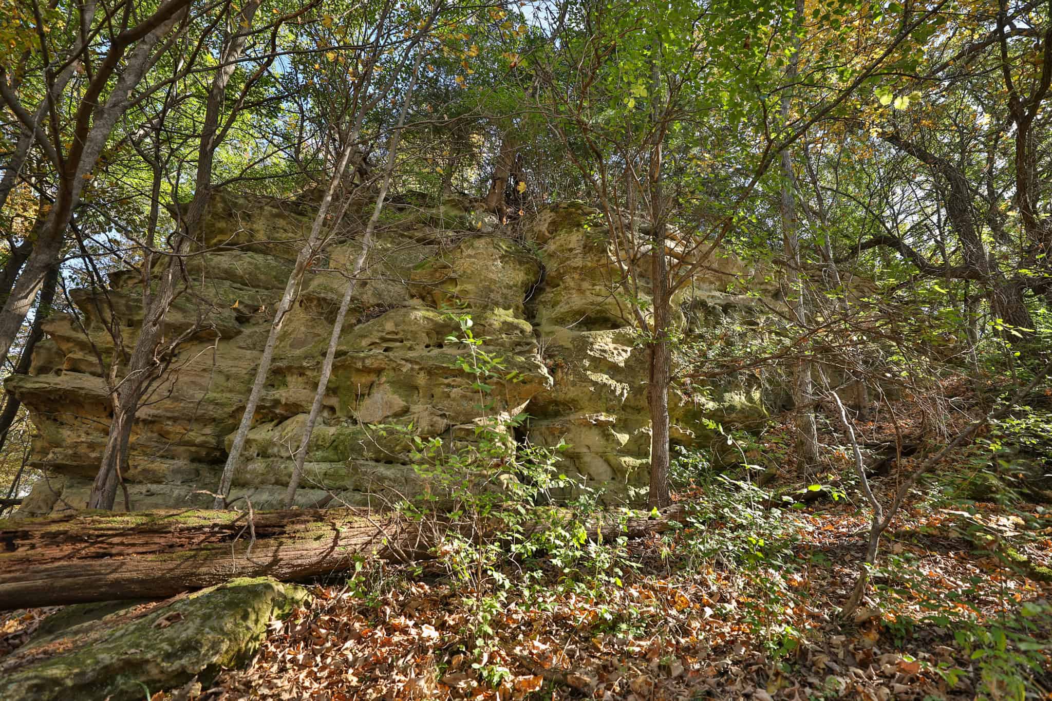 248+/- Acre Income-Producing Farm, Cattle Ranch & Hunting Estate in Richland County, Wisconsin