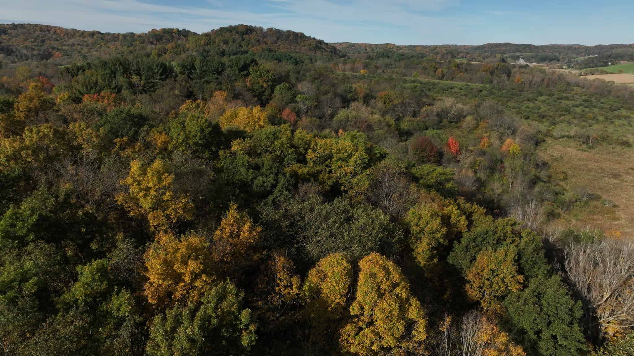 28+/- Acres of Wisconsin Countryside | Fenced Cattle Pasture, Hardwood Ridges, Stream & Dream Homesite