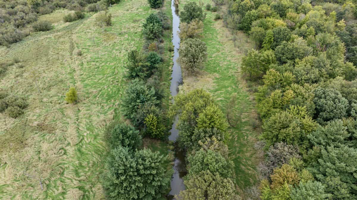 Proven big buck producer 121 Acres in Monroe County