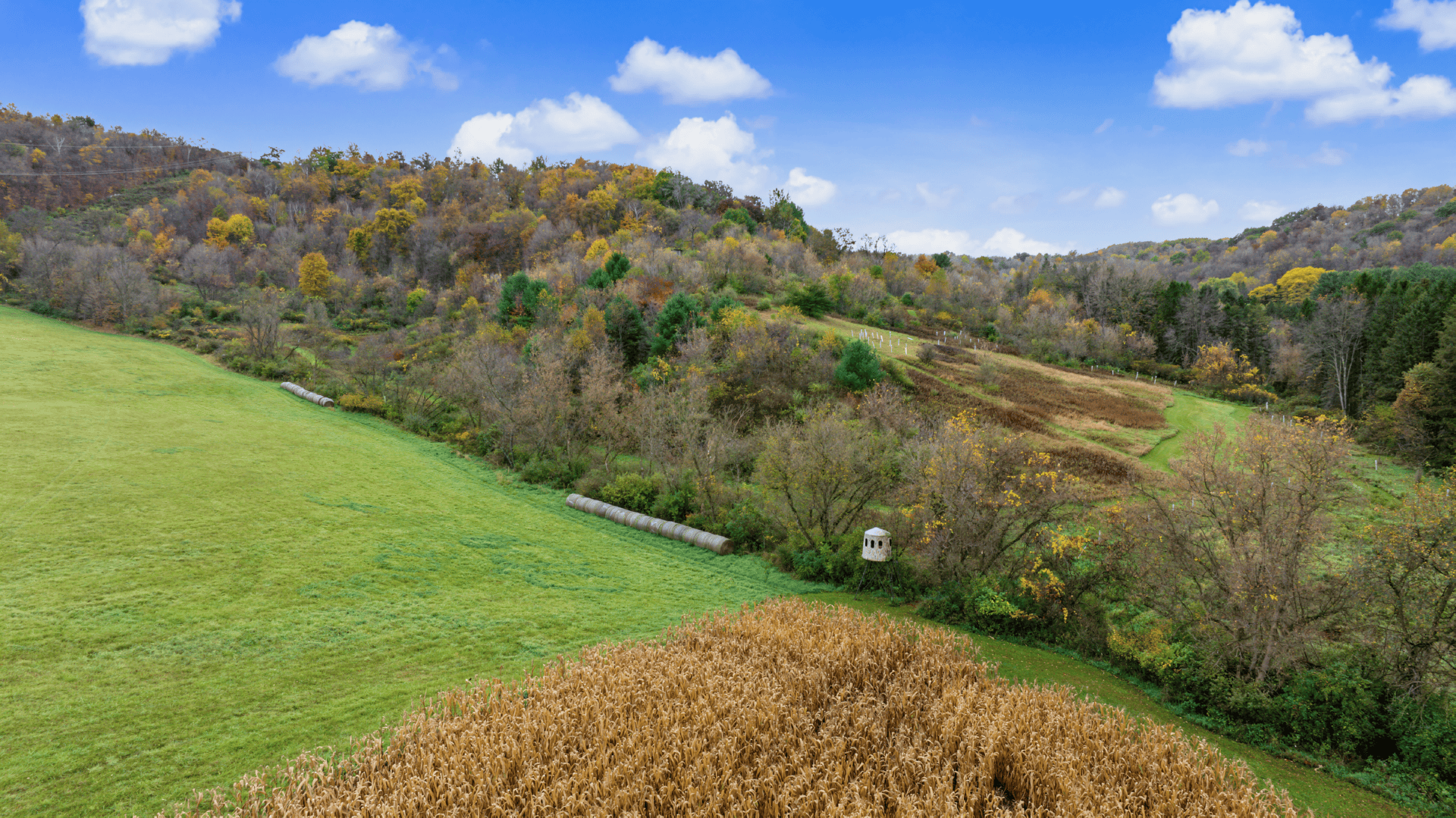 95.02-Acre Premier Whitetail Hunting Estate with Log Cabin, Pond & Spring-Fed Stream in Richland County, Wisconsin