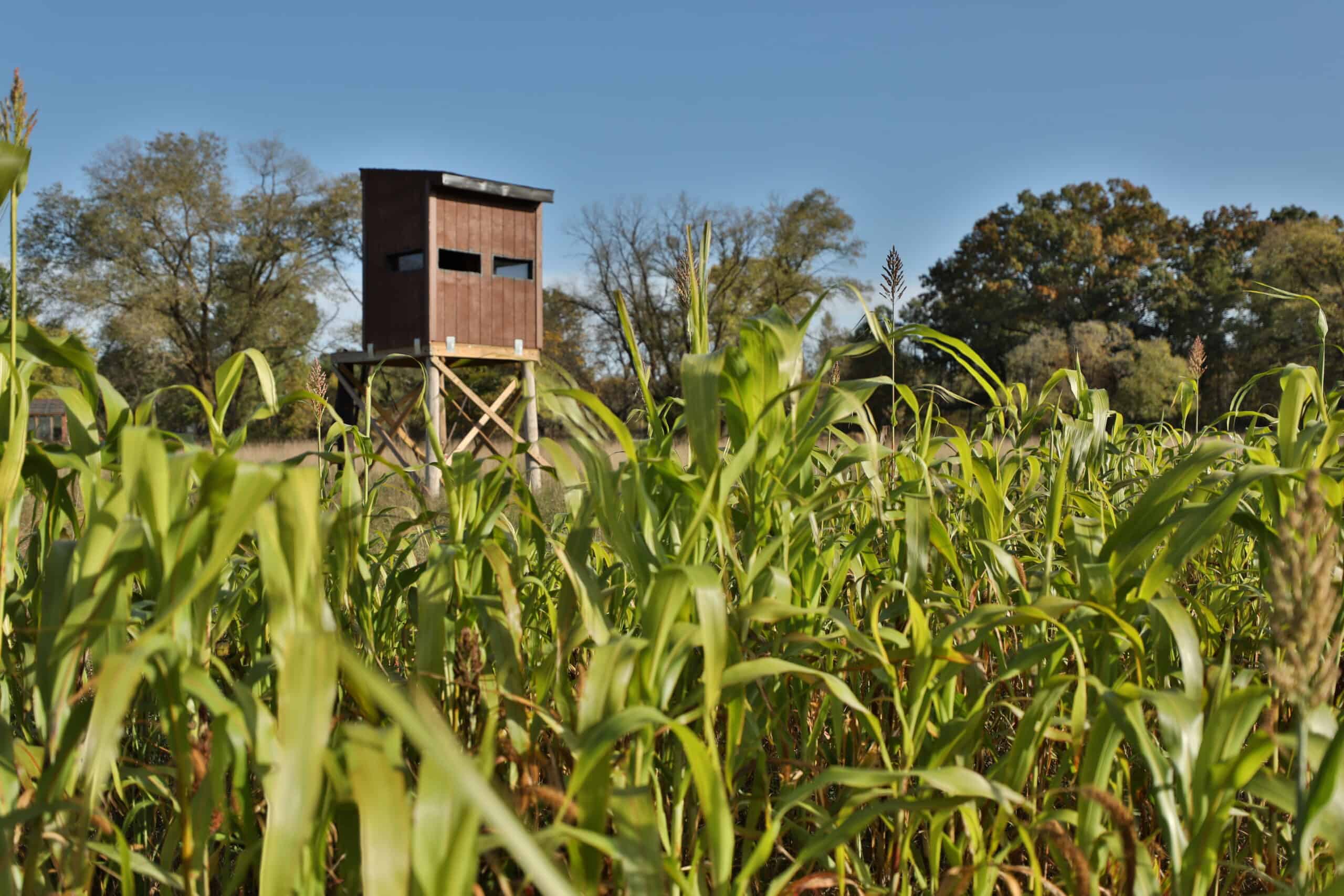 30-Acre Hunting & Camping Retreat with Food Plots, Well & RV Hookups | Adams County, Wisconsin