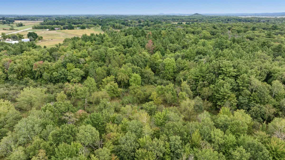 Proven big buck producer 121 Acres in Monroe County