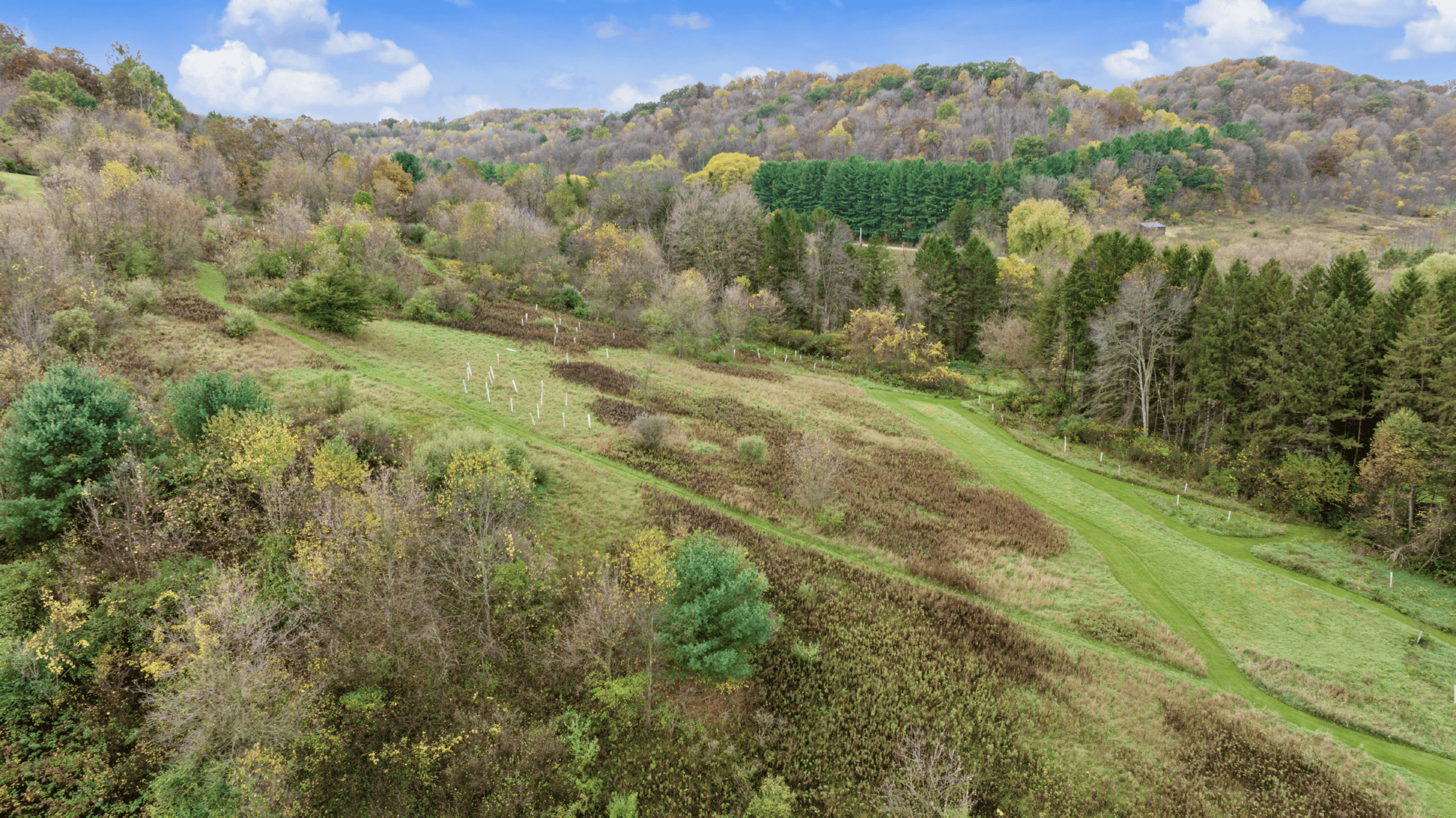95.02-Acre Premier Whitetail Hunting Estate with Log Cabin, Pond & Spring-Fed Stream in Richland County, Wisconsin