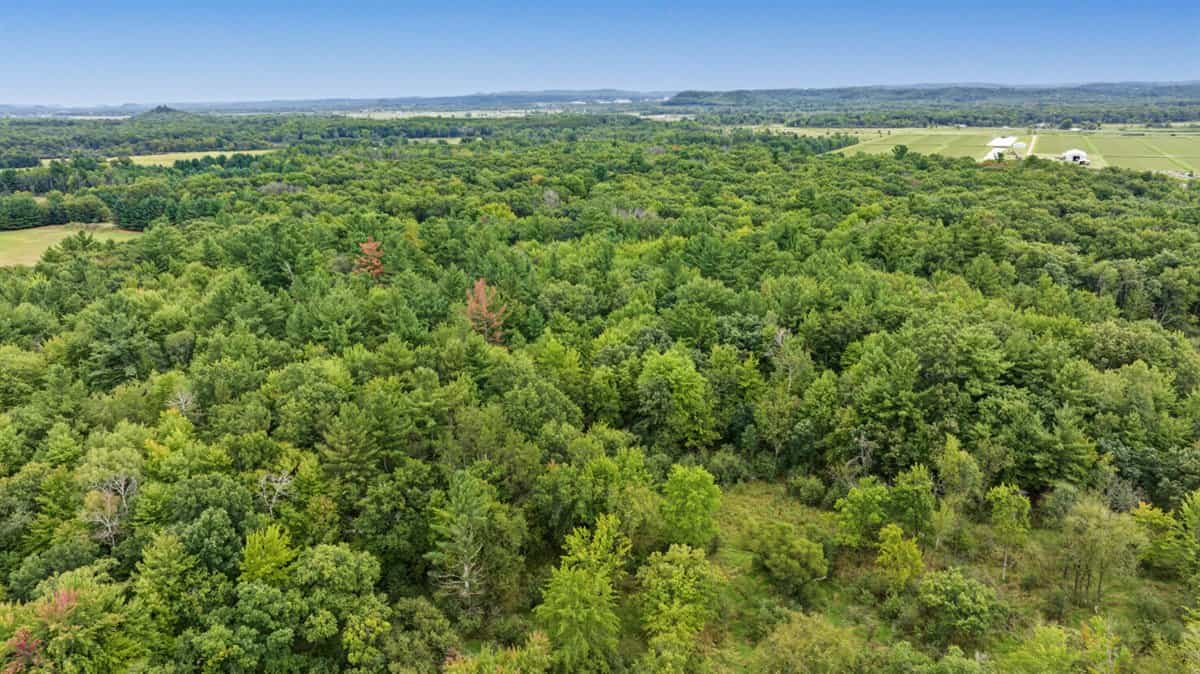 Proven big buck producer 121 Acres in Monroe County
