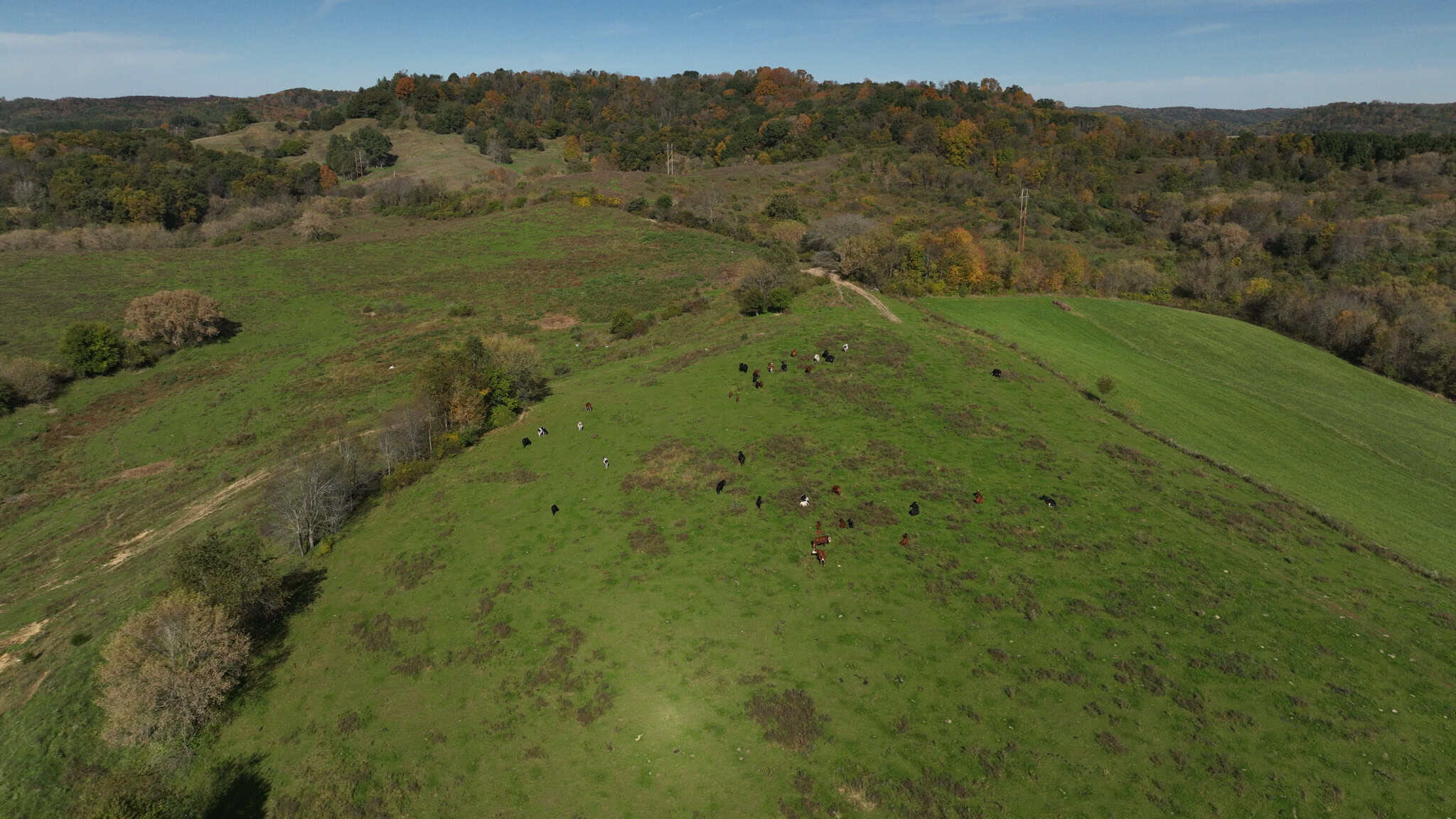 248+/- Acre Income-Producing Farm, Cattle Ranch & Hunting Estate in Richland County, Wisconsin
