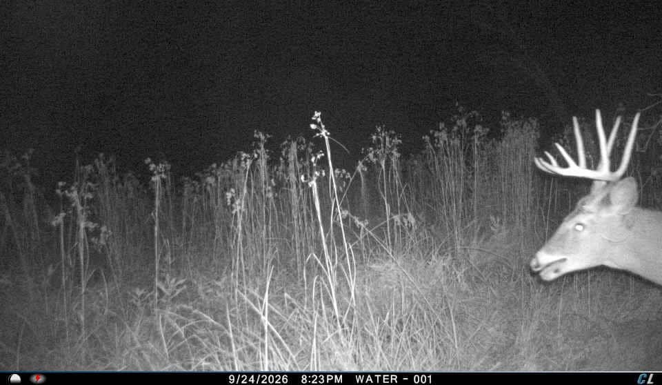 30-Acre Hunting & Camping Retreat with Food Plots, Well & RV Hookups | Adams County, Wisconsin