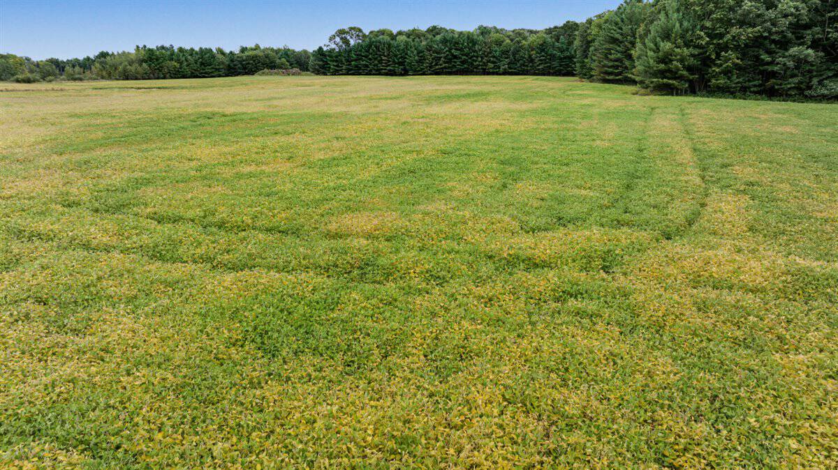 Proven big buck producer 121 Acres in Monroe County