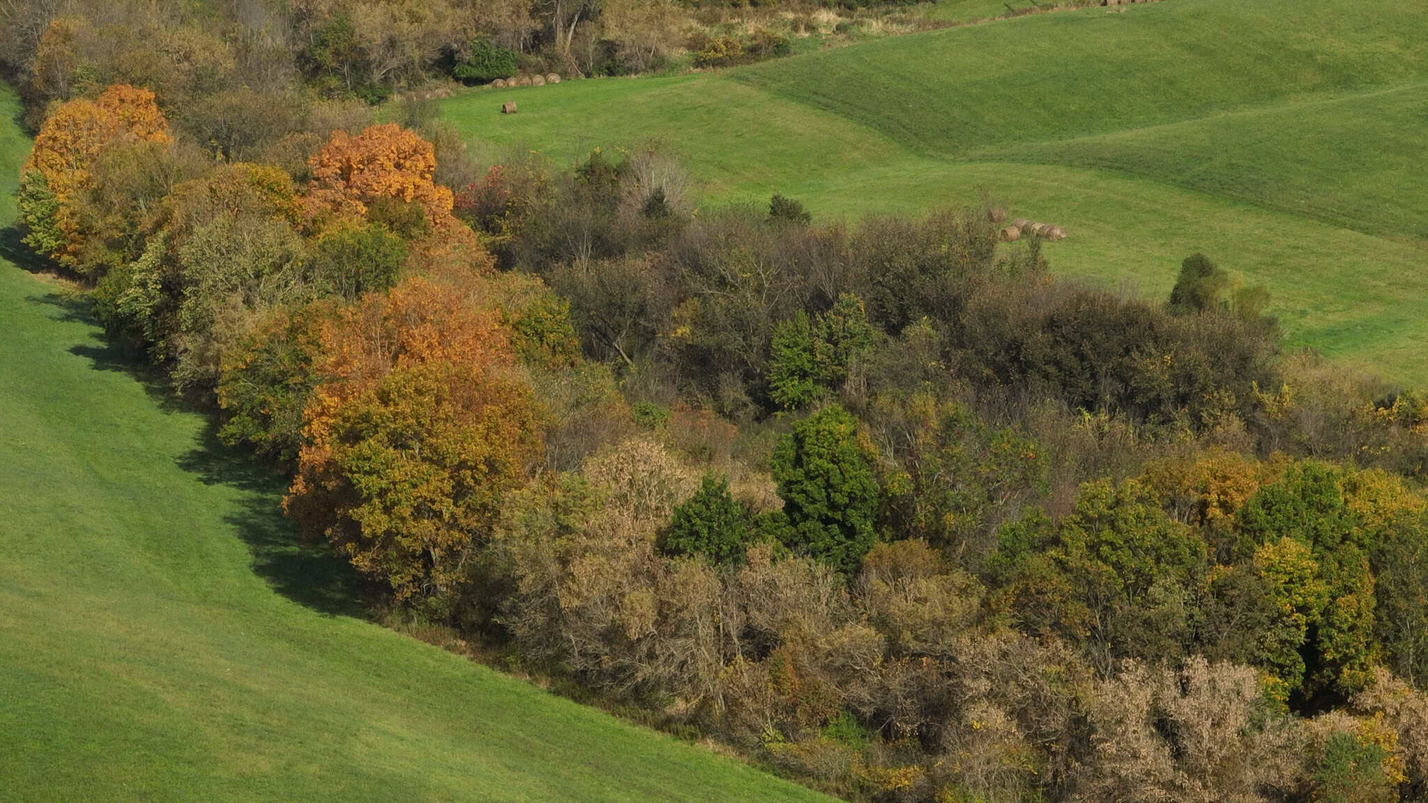 248+/- Acre Income-Producing Farm, Cattle Ranch & Hunting Estate in Richland County, Wisconsin