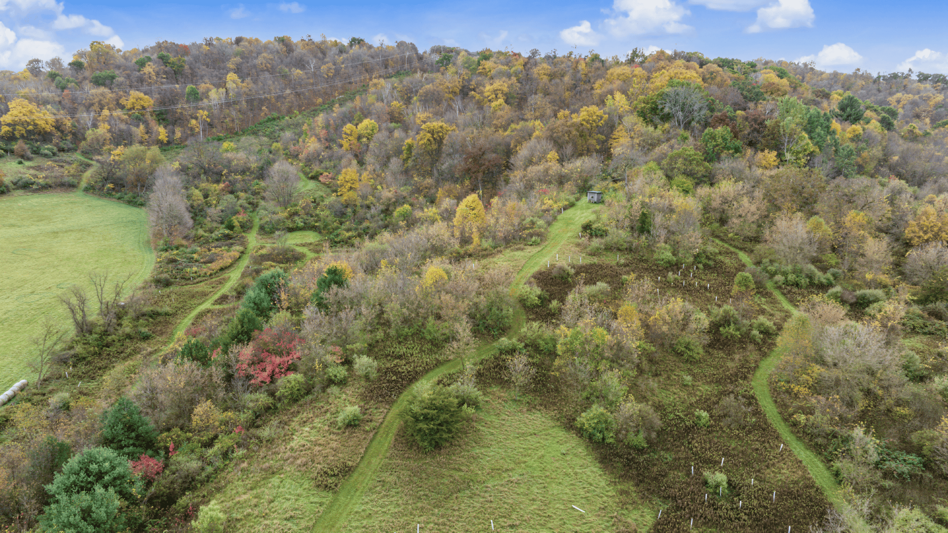 95.02-Acre Premier Whitetail Hunting Estate with Log Cabin, Pond & Spring-Fed Stream in Richland County, Wisconsin
