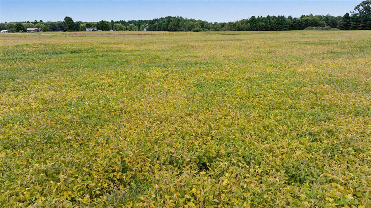 Proven big buck producer 121 Acres in Monroe County