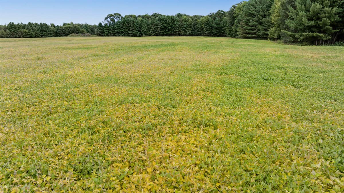 Proven big buck producer 121 Acres in Monroe County