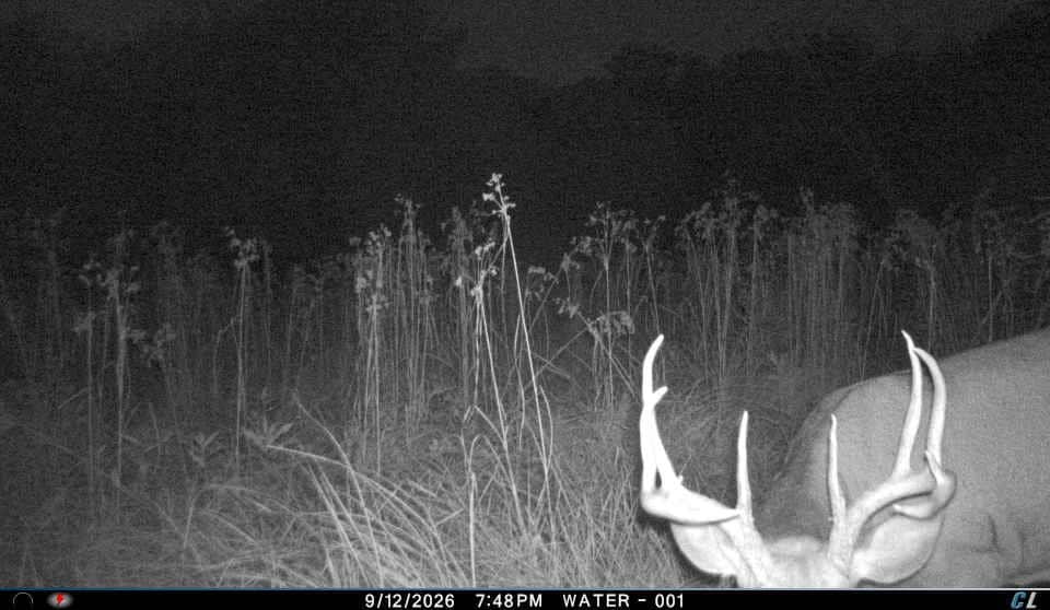 30-Acre Hunting & Camping Retreat with Food Plots, Well & RV Hookups | Adams County, Wisconsin