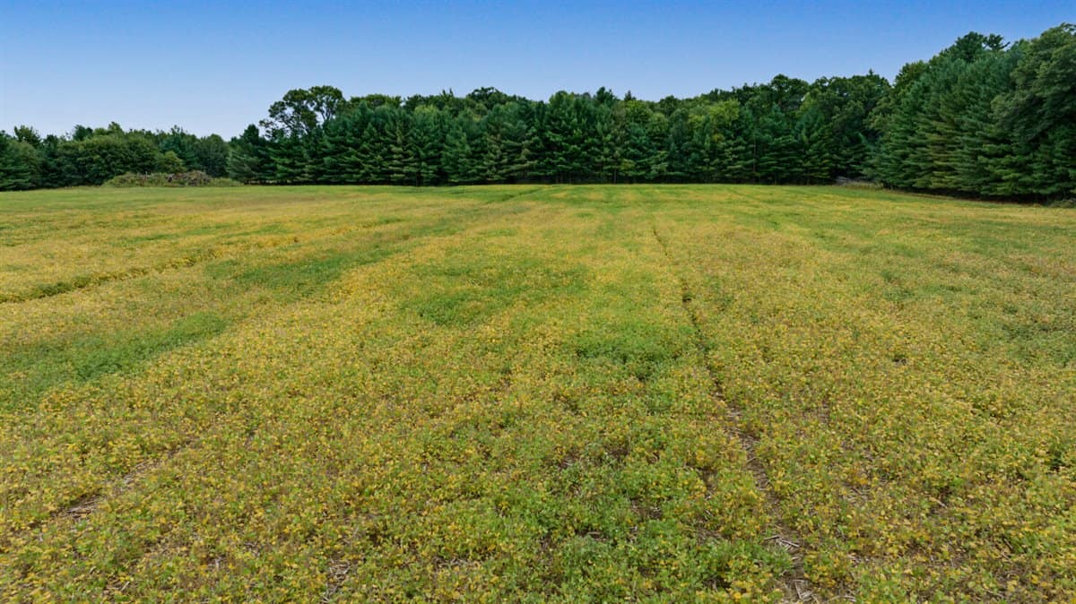 Proven big buck producer 121 Acres in Monroe County
