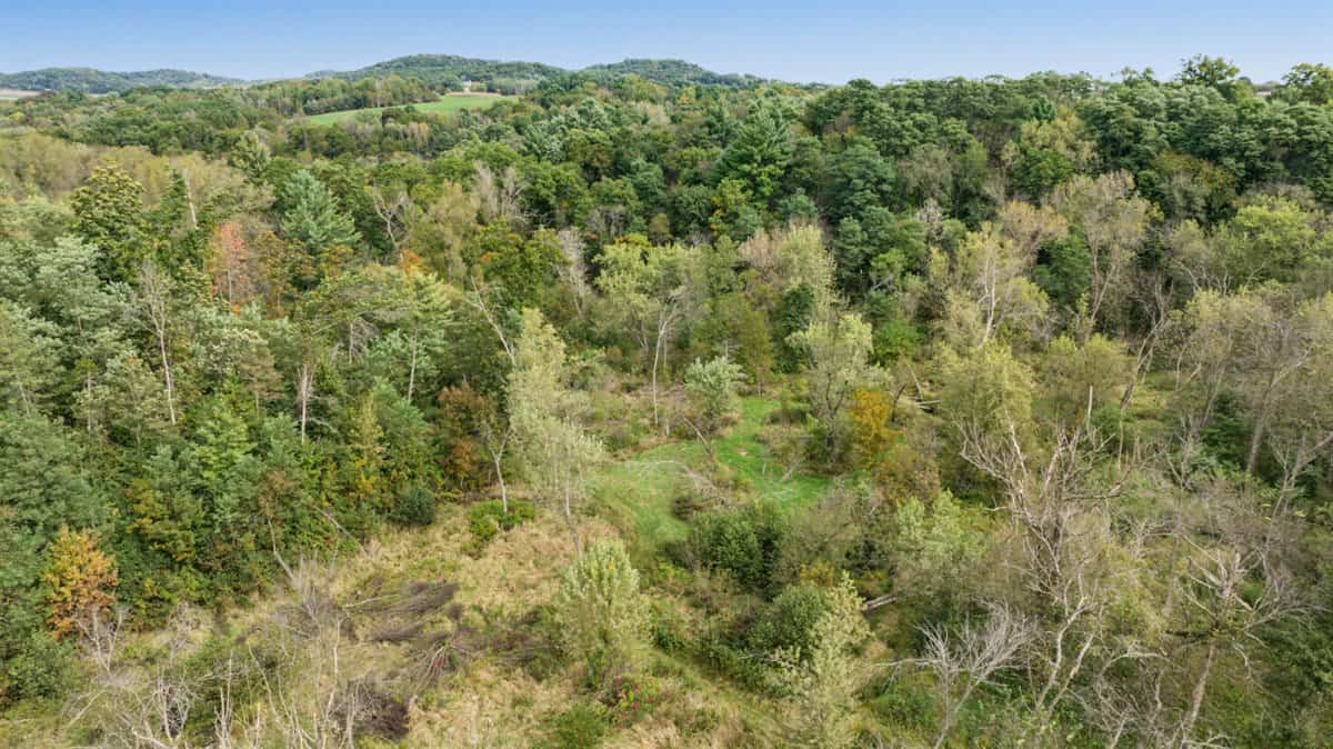 Turnkey 28± Acre Hunting Property Near Melrose, Wisconsin