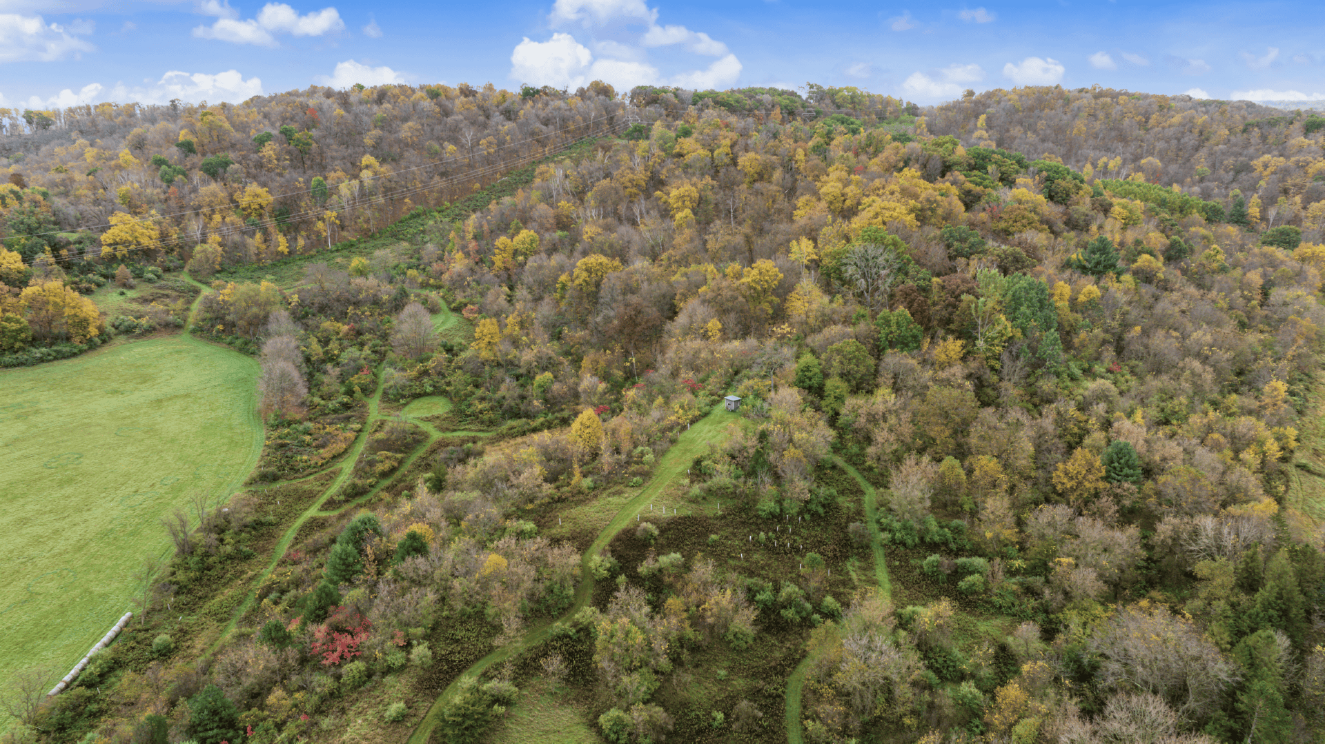 95.02-Acre Premier Whitetail Hunting Estate with Log Cabin, Pond & Spring-Fed Stream in Richland County, Wisconsin