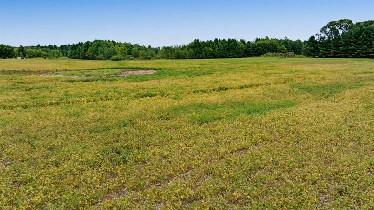 Proven big buck producer 121 Acres in Monroe County