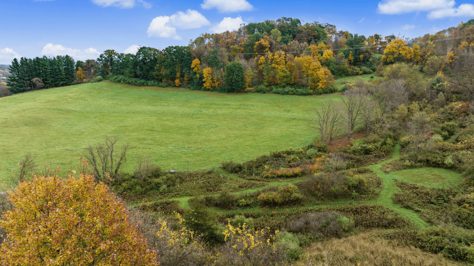 95.02-Acre Premier Whitetail Hunting Estate with Log Cabin, Pond & Spring-Fed Stream in Richland County, Wisconsin