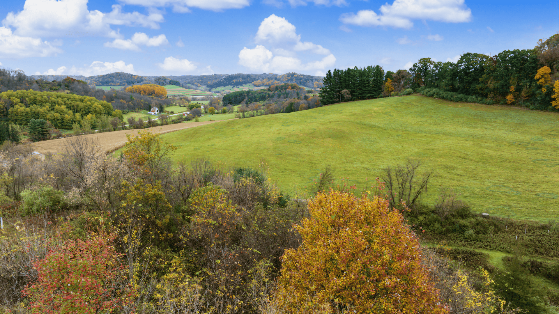95.02-Acre Premier Whitetail Hunting Estate with Log Cabin, Pond & Spring-Fed Stream in Richland County, Wisconsin
