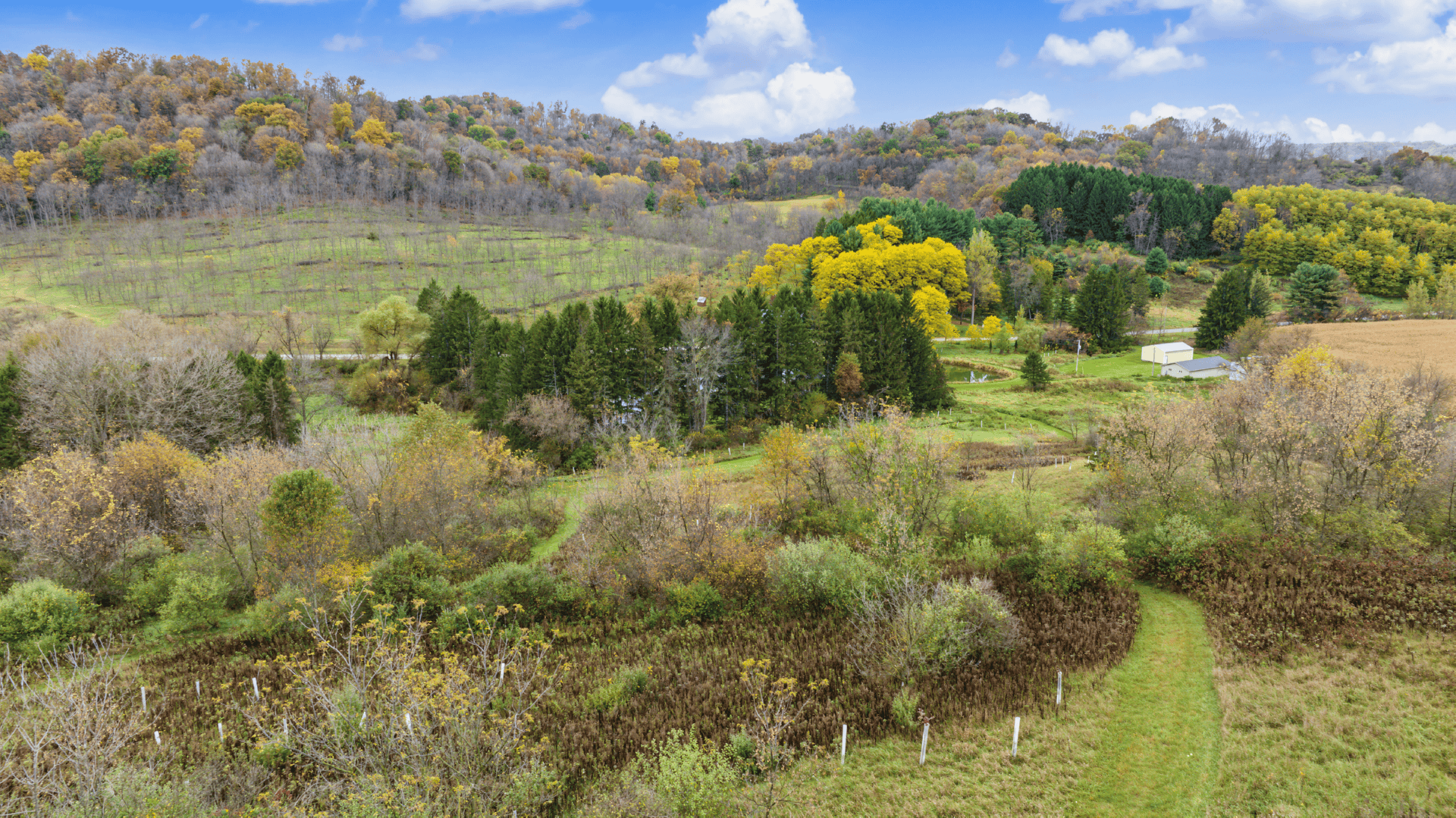 95.02-Acre Premier Whitetail Hunting Estate with Log Cabin, Pond & Spring-Fed Stream in Richland County, Wisconsin