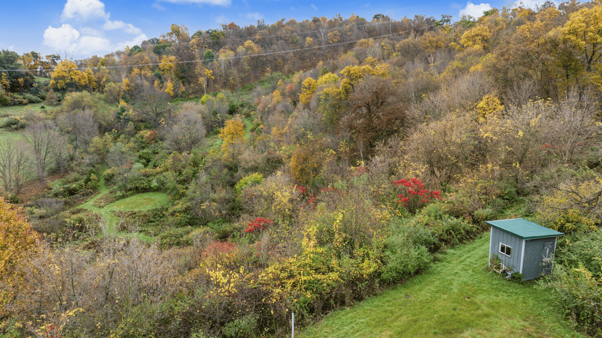 95.02-Acre Premier Whitetail Hunting Estate with Log Cabin, Pond & Spring-Fed Stream in Richland County, Wisconsin