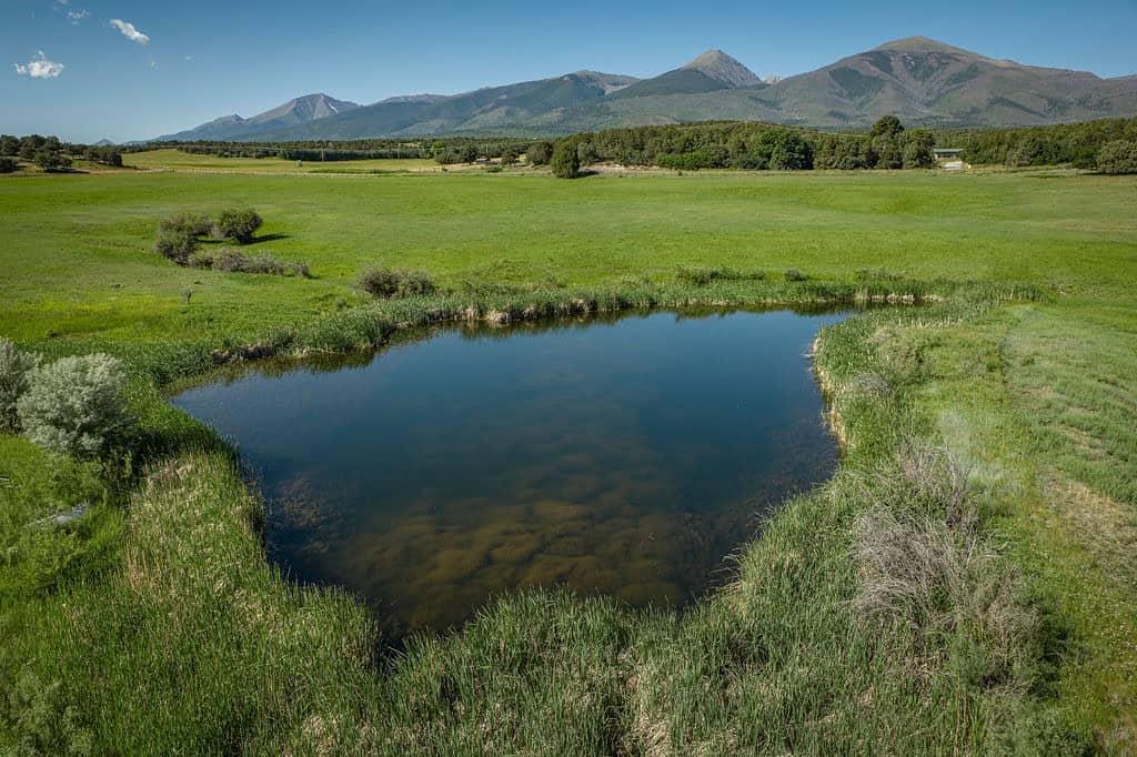 135 ± Acre Spring Valley Ranch for Sale Near Salida, CO