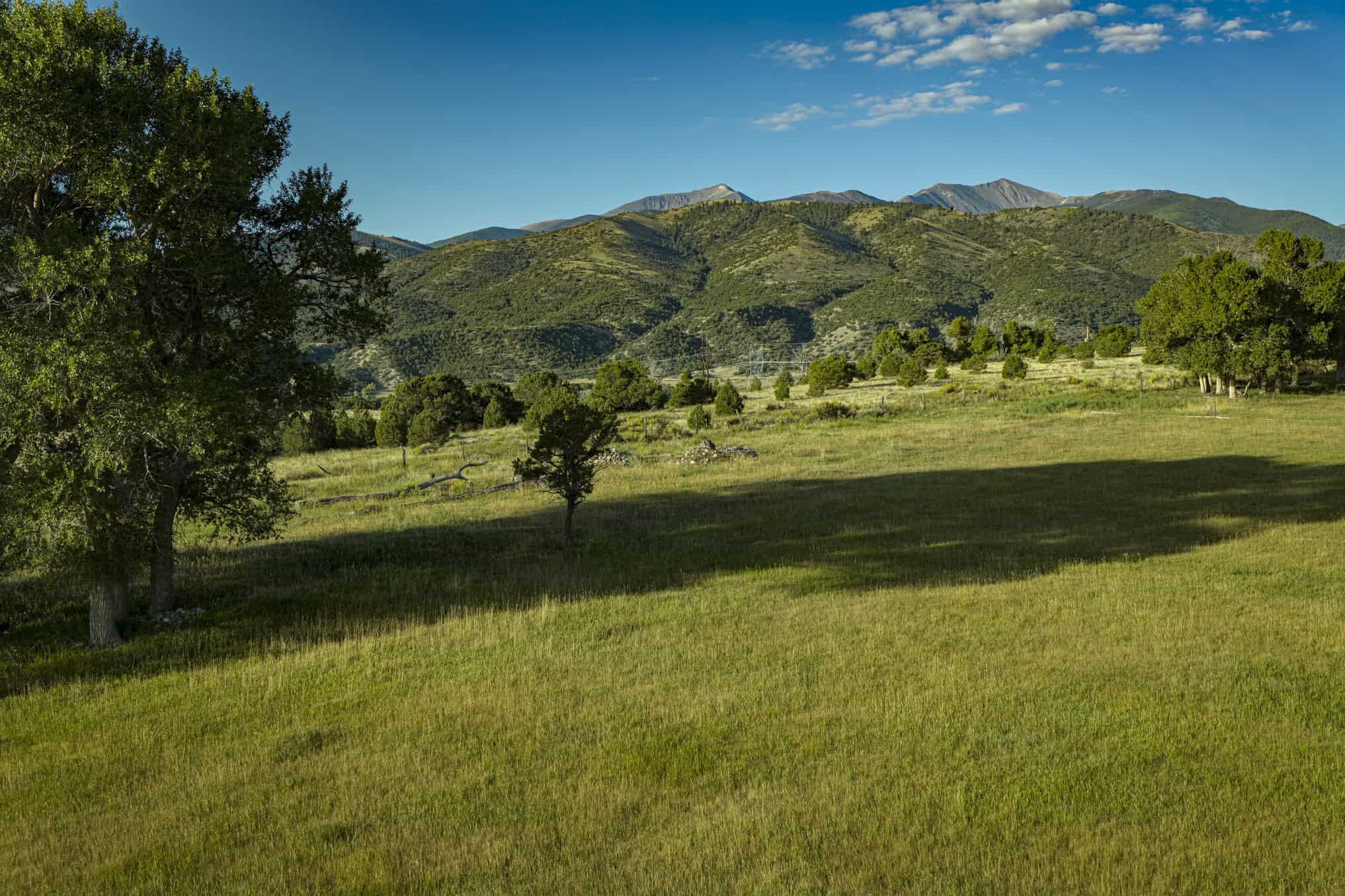 192 ± Acre Ranch for Sale in Salida, CO with Water Rights