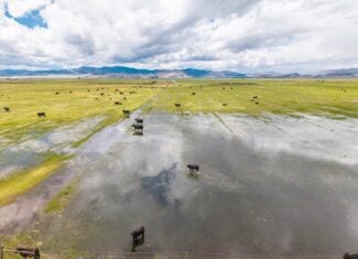 1,280± Acre Hay Ranch for Sale Near Saguache, CO