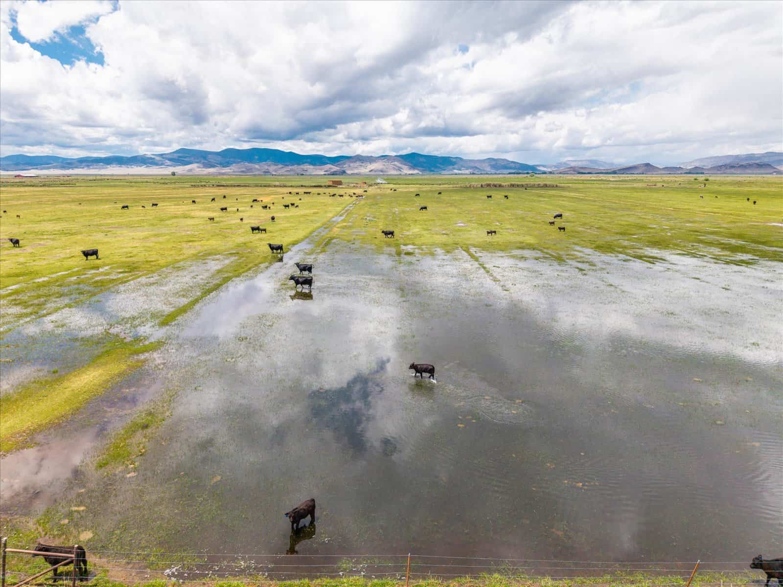 1,280± Acre Hay Ranch for Sale Near Saguache, CO