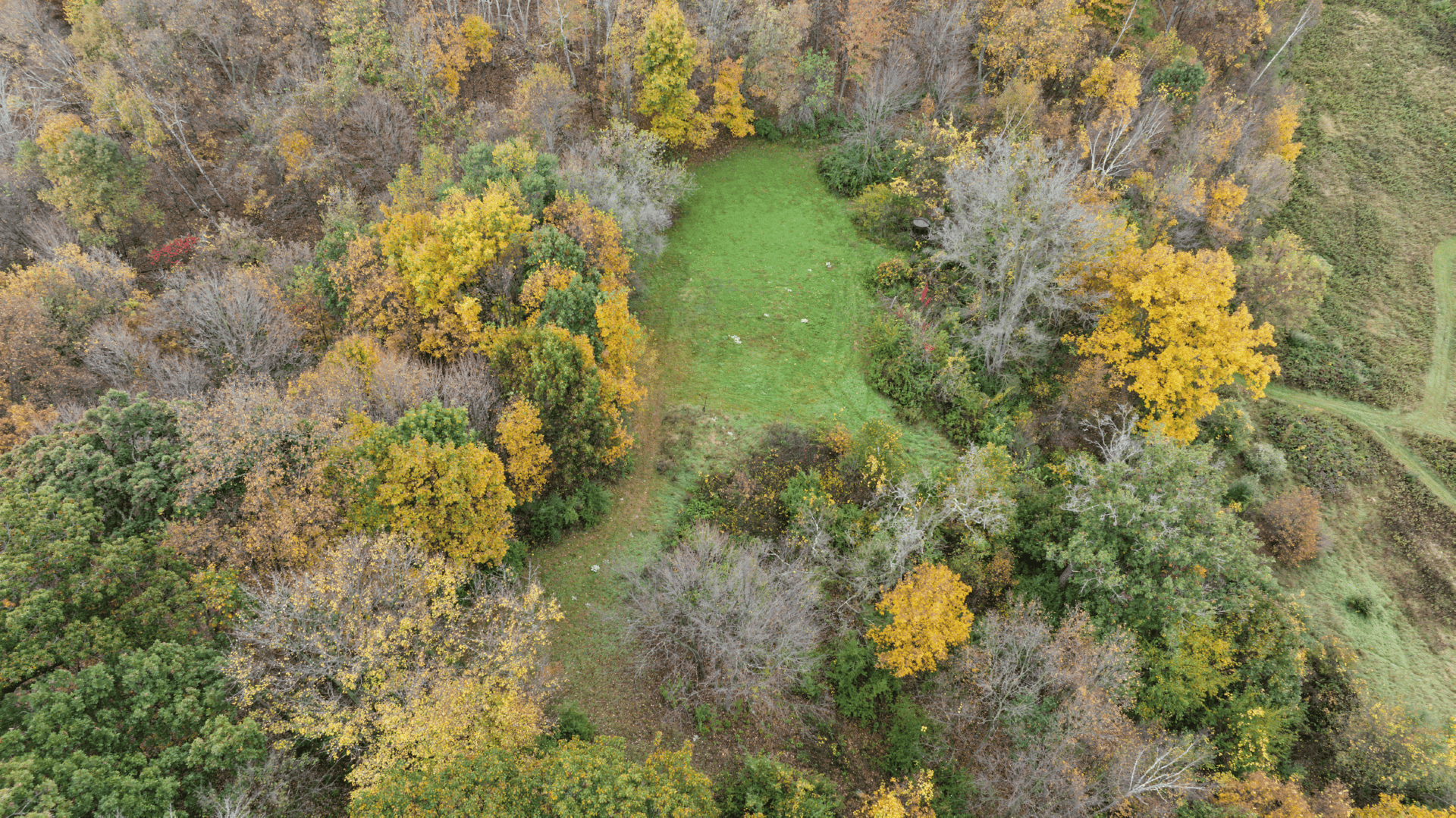 95.02-Acre Premier Whitetail Hunting Estate with Log Cabin, Pond & Spring-Fed Stream in Richland County, Wisconsin
