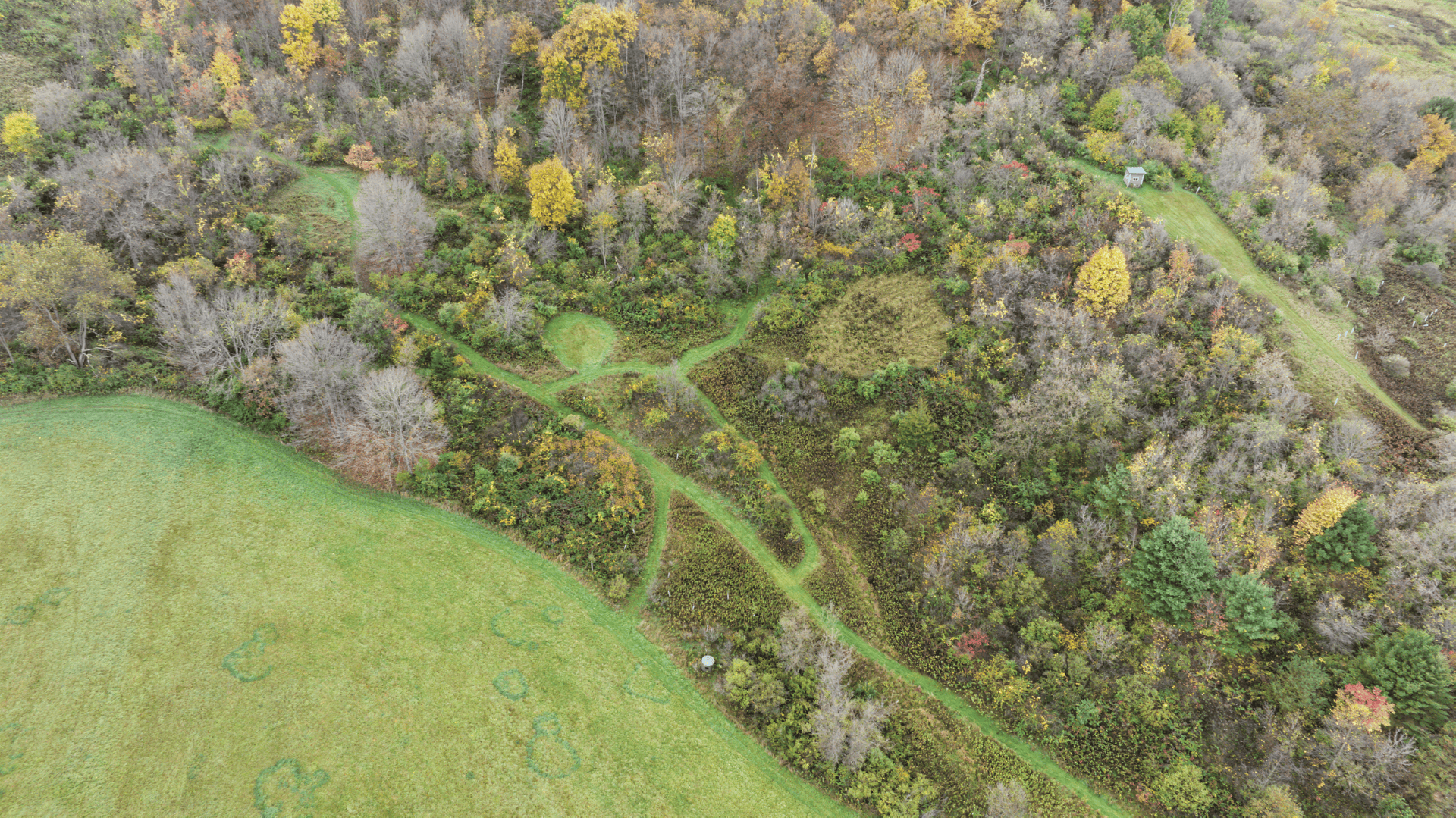 95.02-Acre Premier Whitetail Hunting Estate with Log Cabin, Pond & Spring-Fed Stream in Richland County, Wisconsin