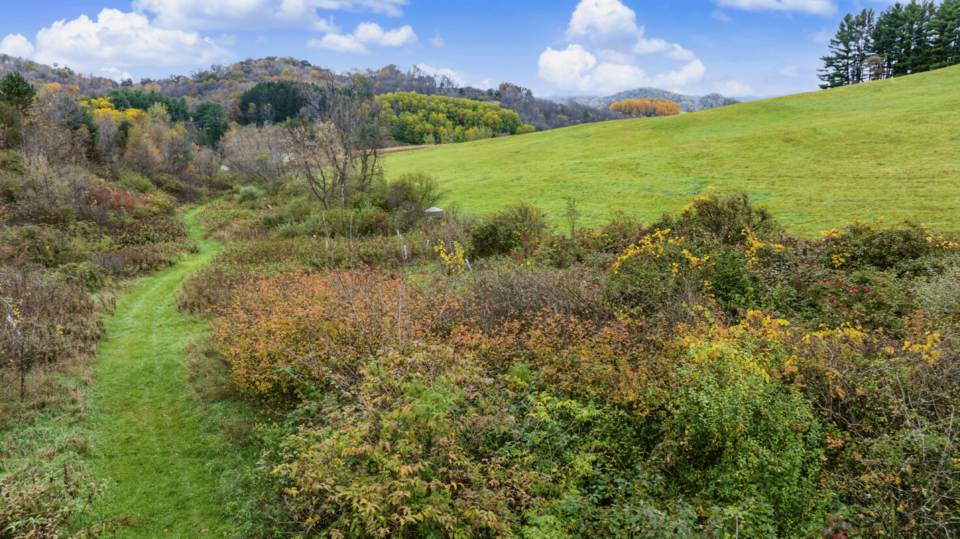 95.02-Acre Premier Whitetail Hunting Estate with Log Cabin, Pond & Spring-Fed Stream in Richland County, Wisconsin