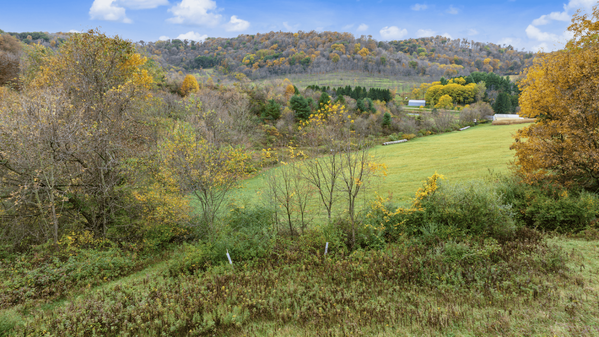 95.02-Acre Premier Whitetail Hunting Estate with Log Cabin, Pond & Spring-Fed Stream in Richland County, Wisconsin