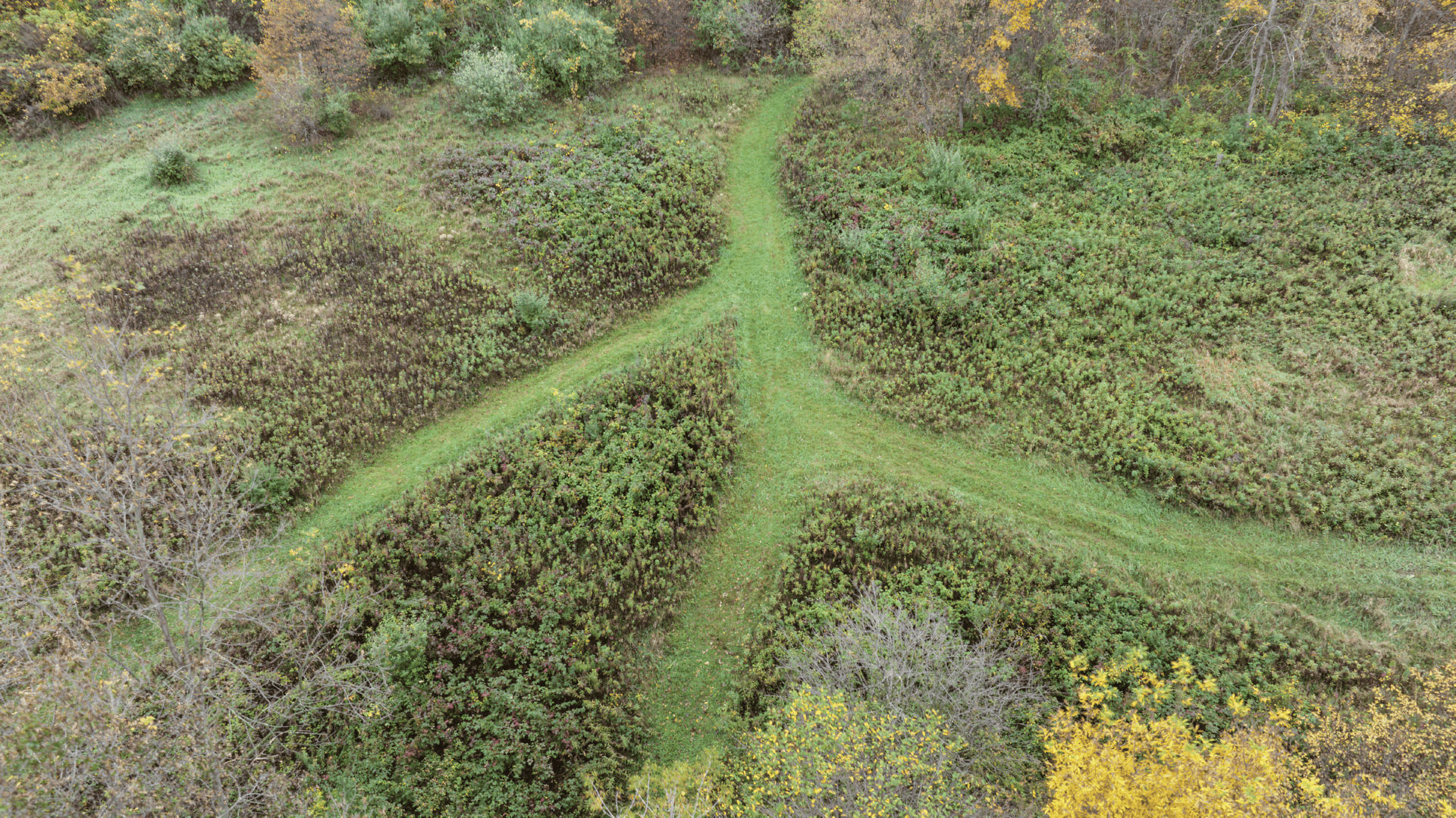 95.02-Acre Premier Whitetail Hunting Estate with Log Cabin, Pond & Spring-Fed Stream in Richland County, Wisconsin
