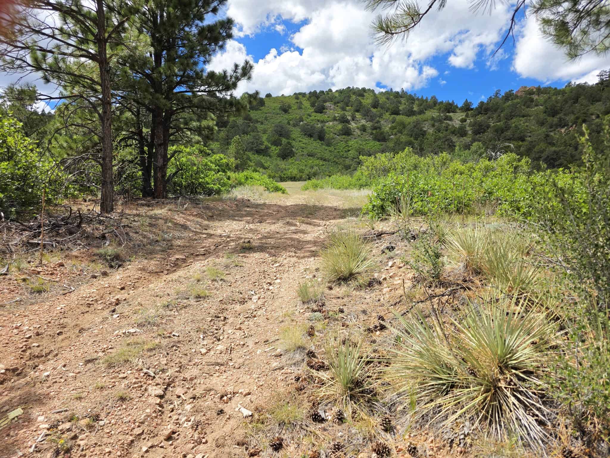 170.68 ± Acre Hunting Ranch by National Forest | Florence, CO