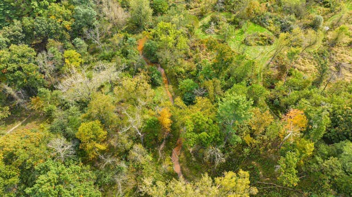 Turnkey 28± Acre Hunting Property Near Melrose, Wisconsin